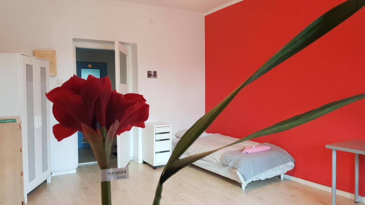 Cozy & Fun Rooms Wojewodzka, Chopina, Damrota คาโตวีตเซ ภายนอก รูปภาพ